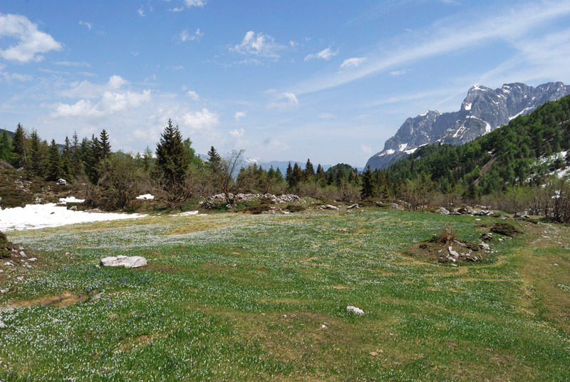 41324-dsc4310.jpg