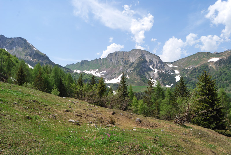 41326-dsc4319.jpg