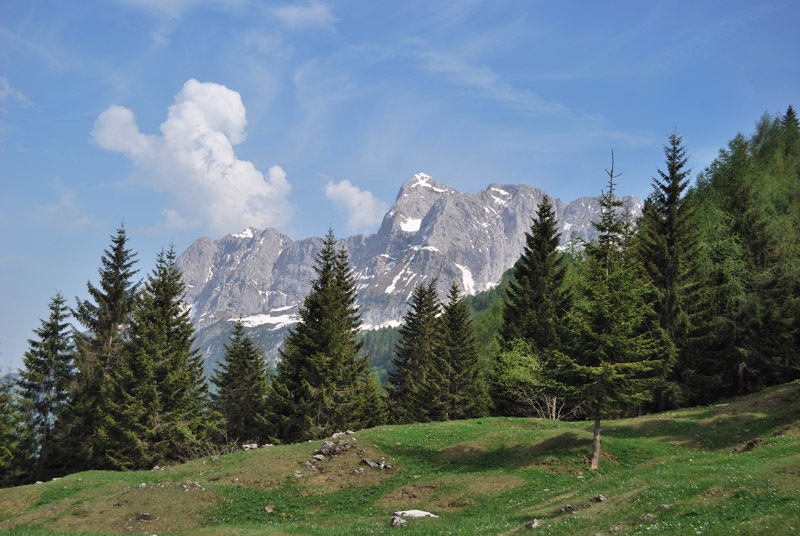 41327-dsc4336.jpg