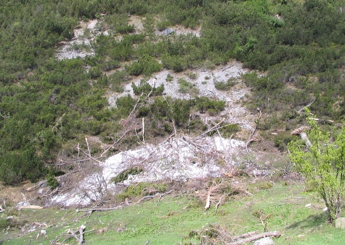 41550-copia-di-bracci-008.jpg