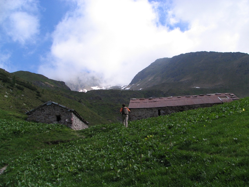 41551-copia-di-bracci-016.jpg