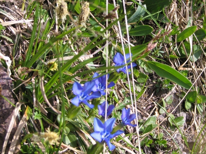 41553-copia-di-bracci-028.jpg