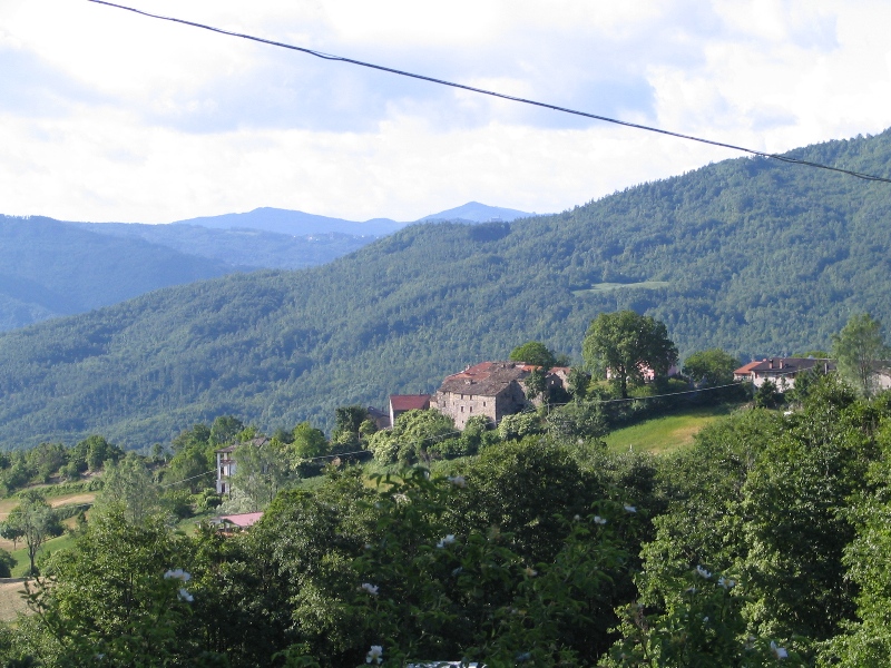 41681-copia-di-bracci-020.jpg