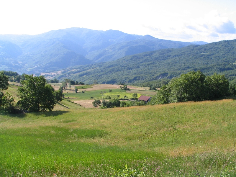 41682-copia-di-bracci-024.jpg