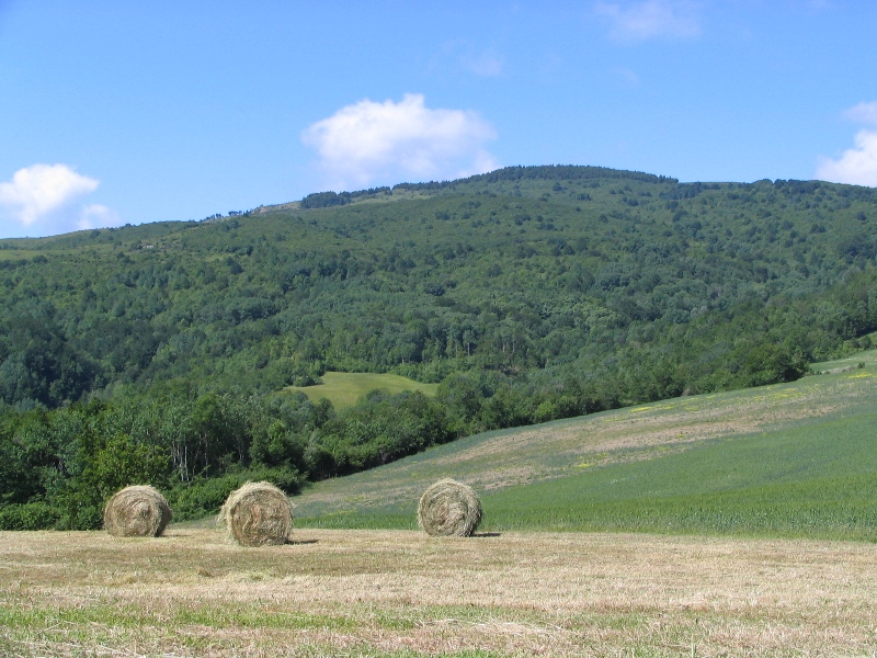 41685-copia-di-bracci-043.jpg