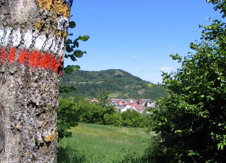 41686-copia-di-bracci-046.jpg