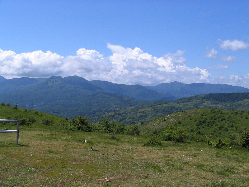 41687-copia-di-bracci-058.jpg