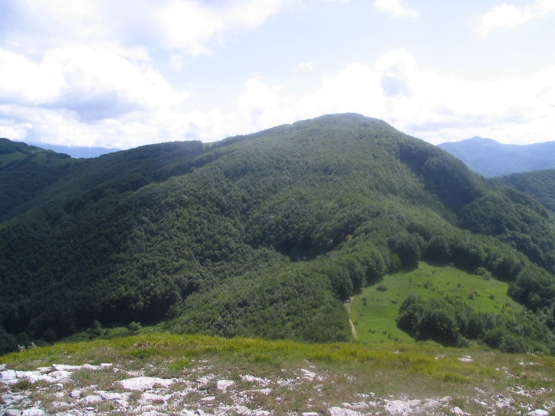 41692-copia-di-bracci-079.jpg