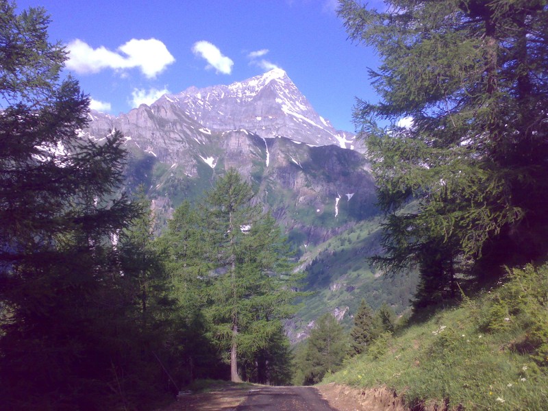 42009-monte-leone-visto-dalla-strada-ciamporino-09.jpg