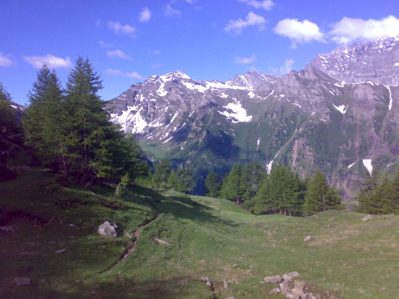 42010-tracciolino-ciamporino-09.jpg