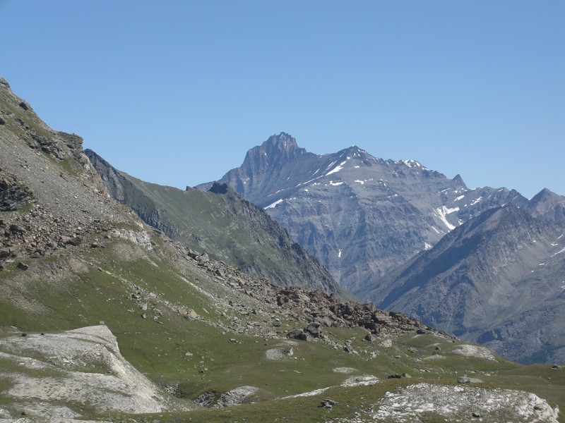 42673-grivola.jpg
