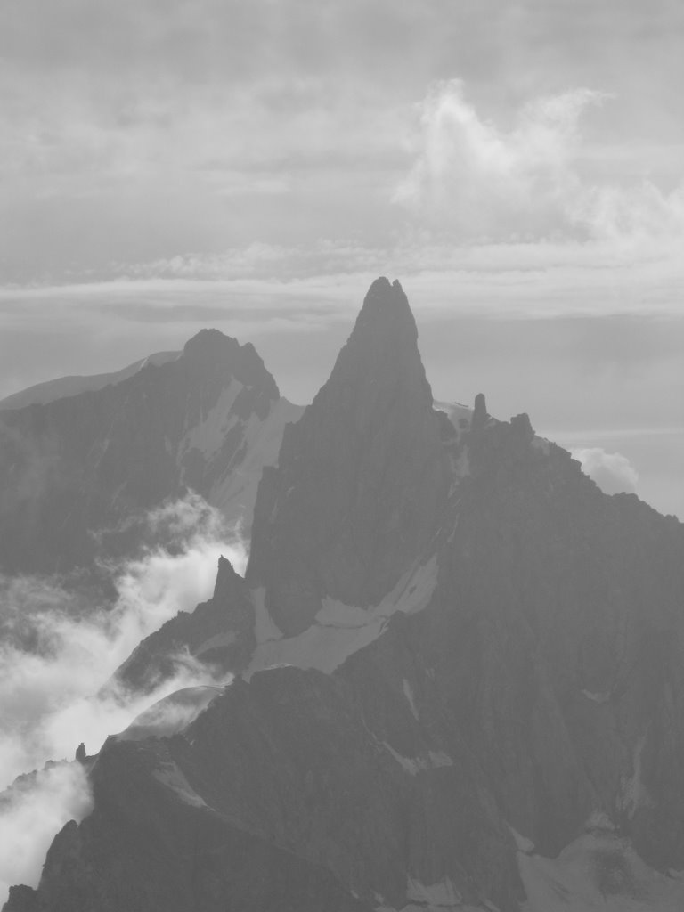 43454-img0389.jpg