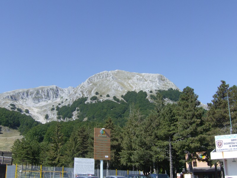 43463-croce-e-miletto.jpg