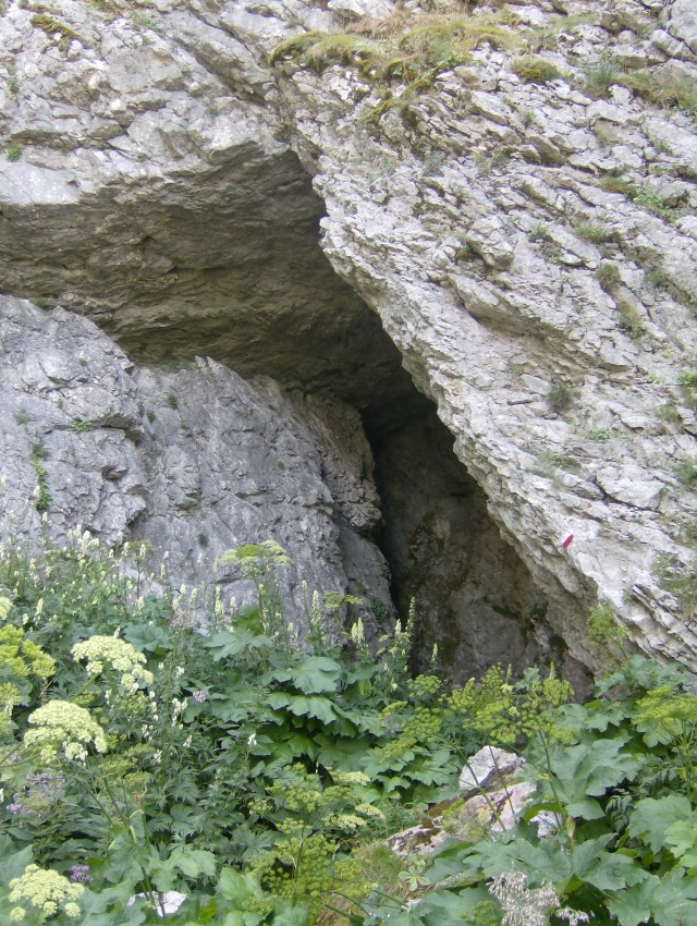 43473-ingresso-grotta-fumo.jpg