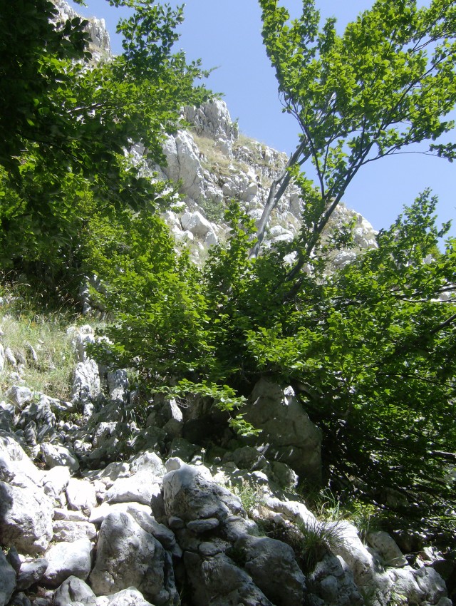 43475-la-base-del-sentiero.jpg