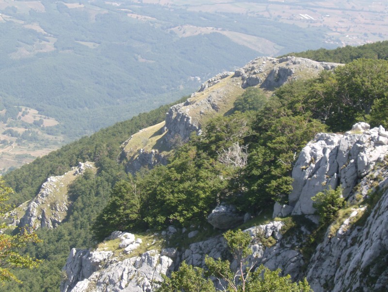 43477-panorama.jpg