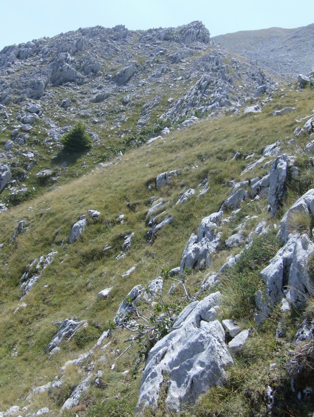 43478-panorama-1.jpg