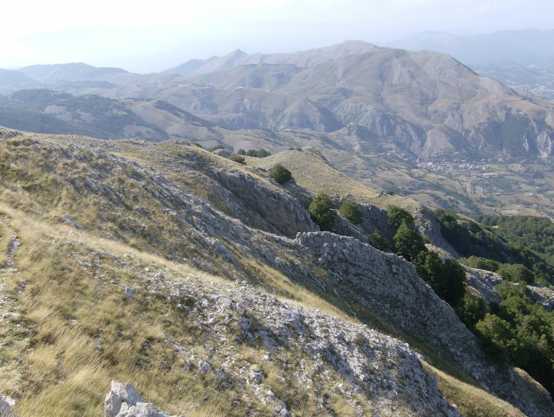 43479-panorama-2.jpg