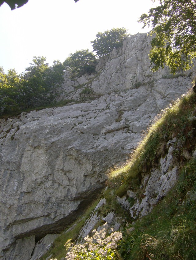 43481-parete-che-sovrasta-la-ferrata.jpg