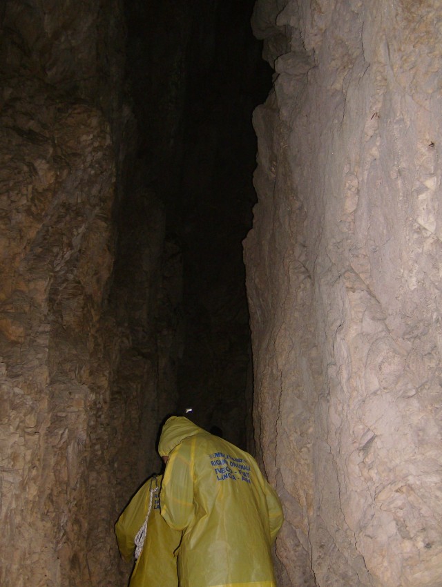43484-pareti-strette.jpg