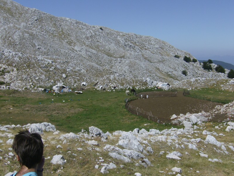 43485-pianoro-delle-pecore.jpg