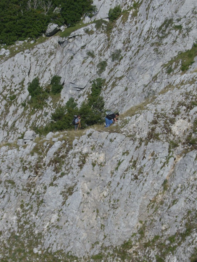 43492-stefano-e-giuseppe-per-ritornare-al-pianoro-pecore.jpg