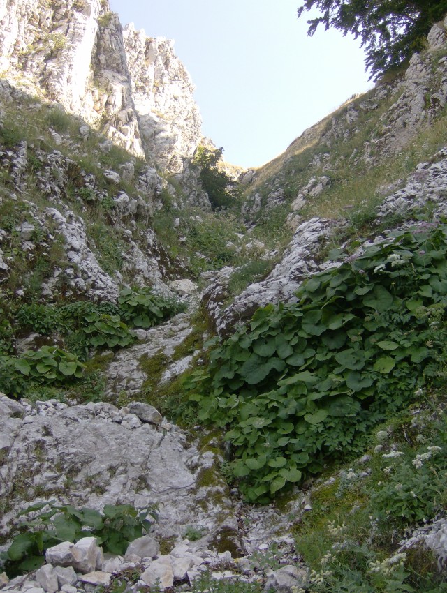 43496-sulla-via-del-ritorno.jpg