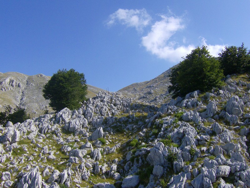 43497-tipico-panorama-del-matese.jpg