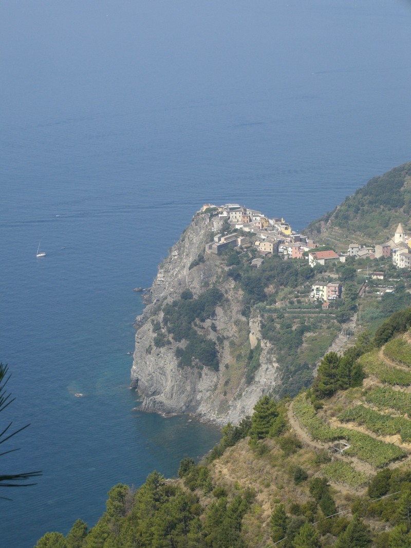 43549-corniglia.jpg
