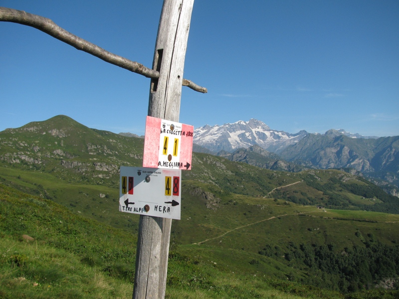 43723-img0176.jpg
