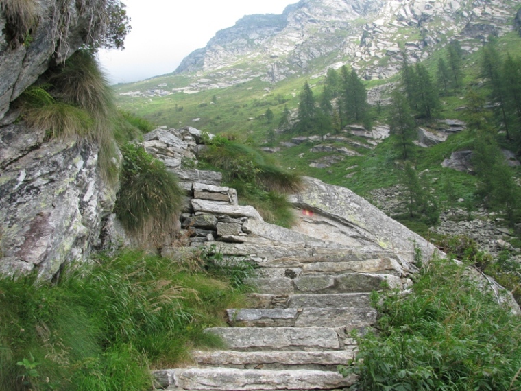 43726-img0349.jpg