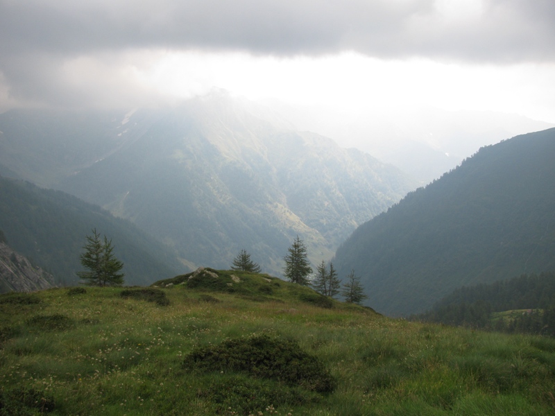 43728-img0364.jpg