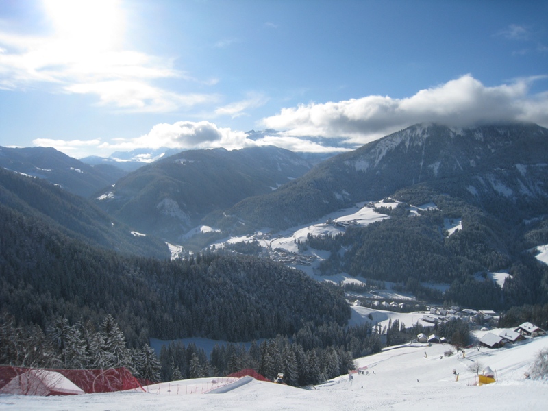 43850-piculin.jpg