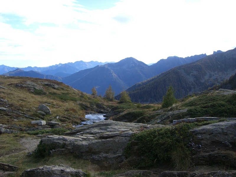 44183-copia-di-robbs-158.jpg