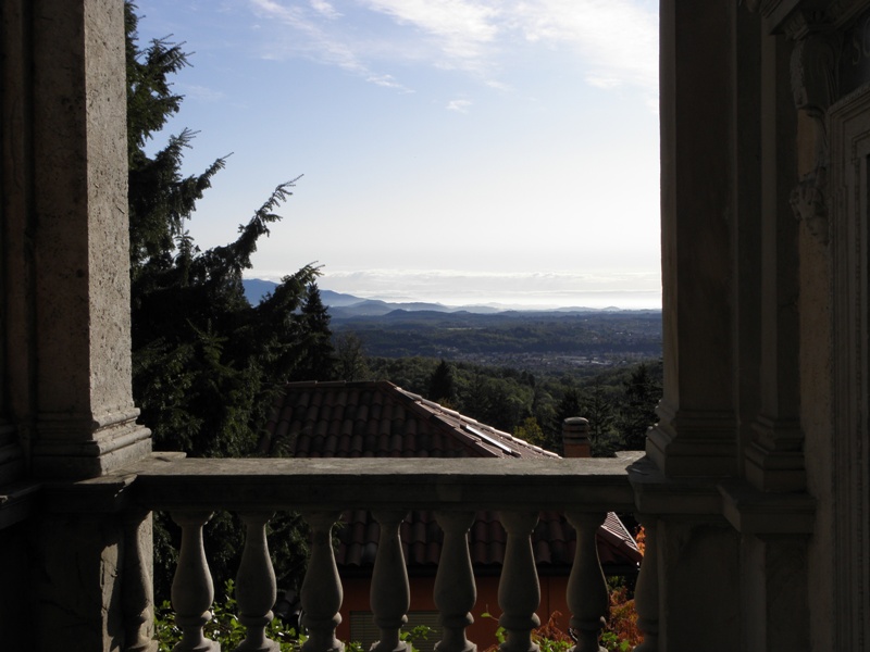 44469-copia-di-robbs-010.jpg