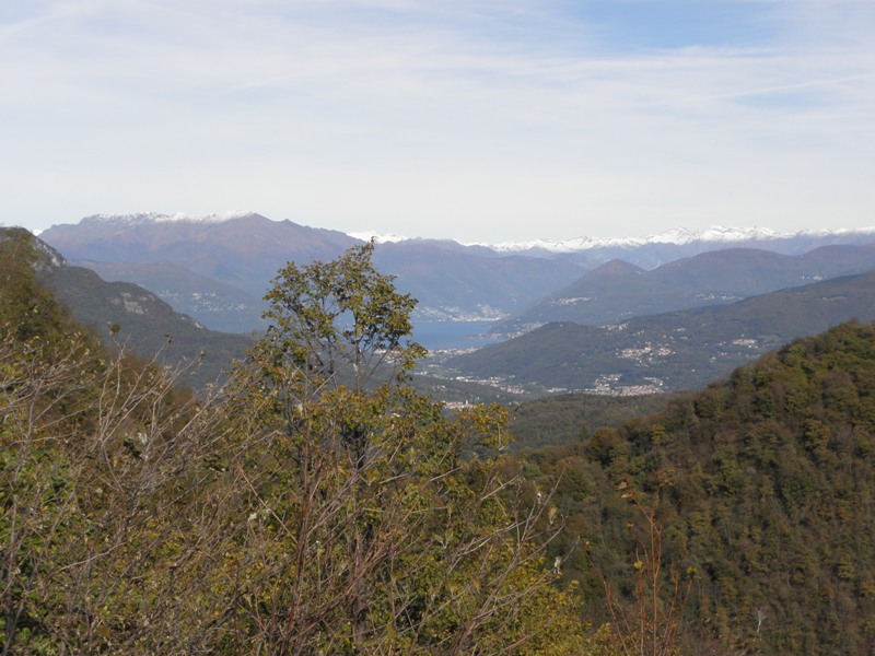 44476-copia-di-robbs-052.jpg