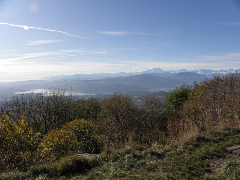44487-copia-di-robbs-114.jpg