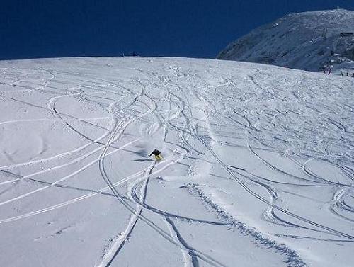 44524-powder.jpg
