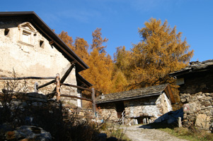 44669-forum2.jpg