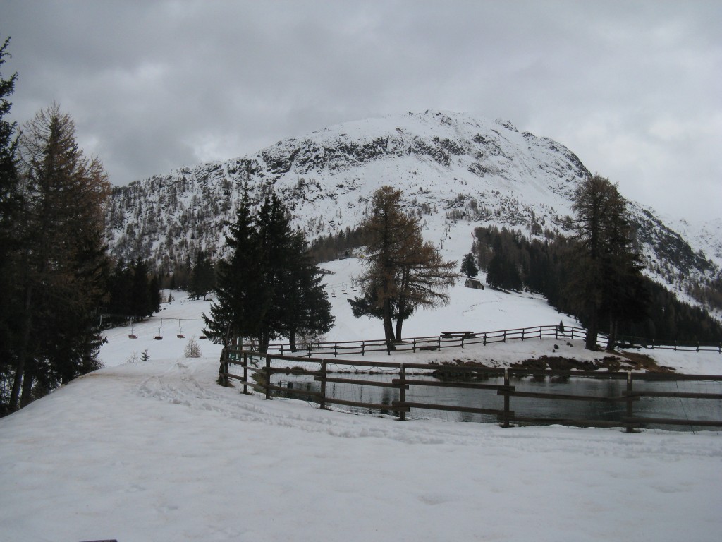 45188-20.jpg