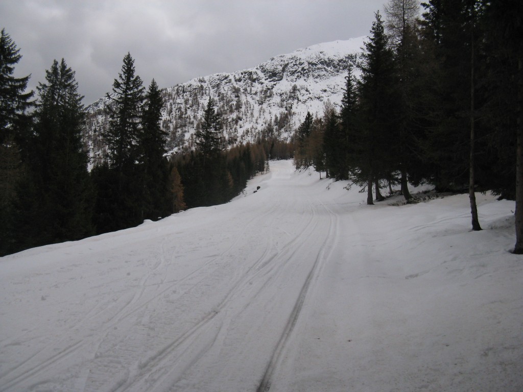 45189-21.jpg