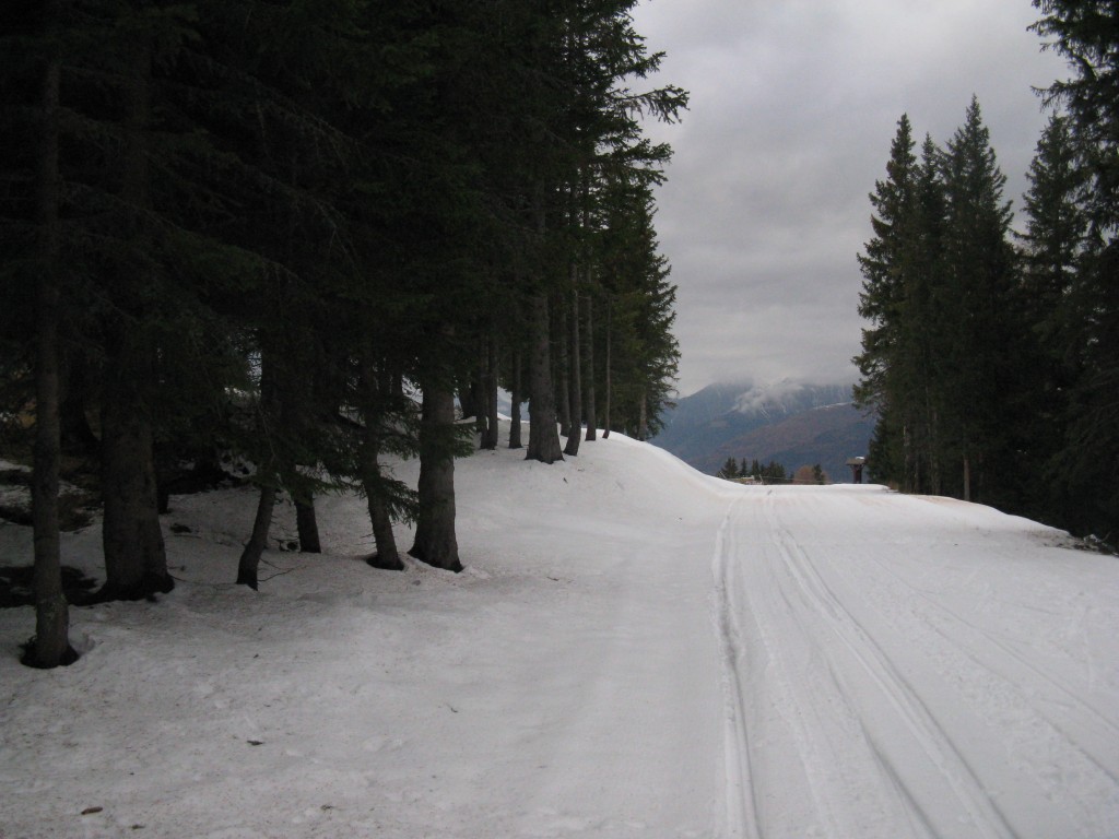 45191-22.jpg