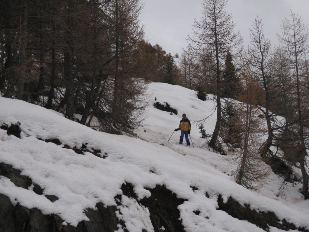 45192-23.jpg