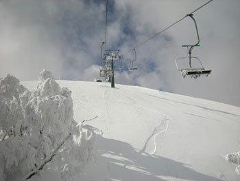 45548-foto2.jpg