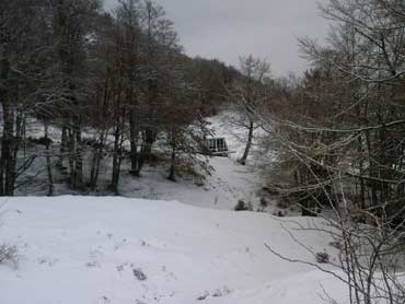 45695-sellata01122009.jpg