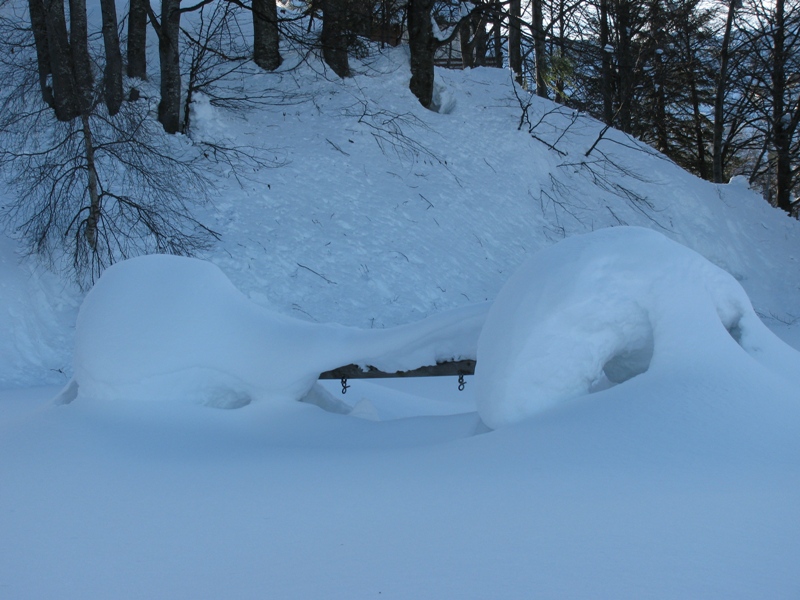 45714-alpe-di-mera-altalena.jpg