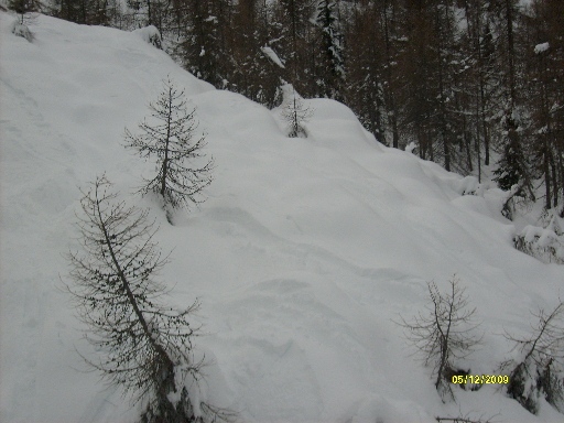 46110-sotto-seggiovia-e-boschetti.jpg