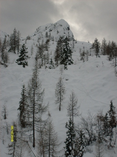46111-corne-gemelle-051209.jpg