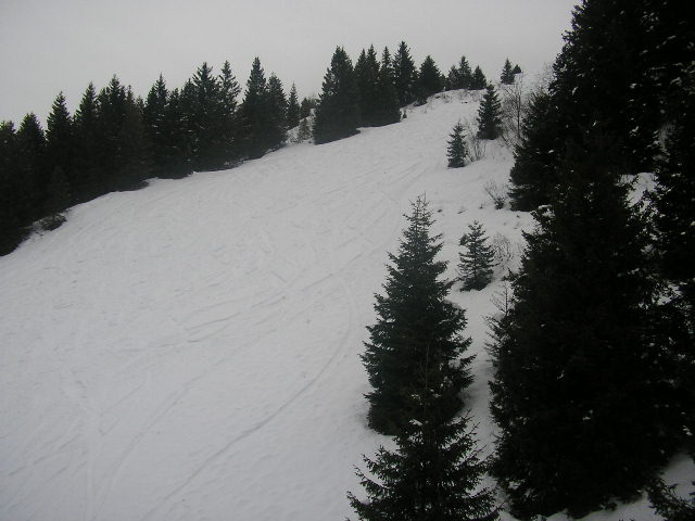 46177-immagine-055.jpg