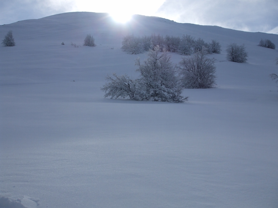 46189-cimone-2009-034x.jpg